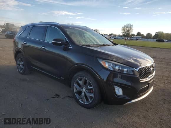 2016 Kia Sorento SX с VIN 5XYPKDA59GG085161, выставлен на аукционе Copart как лот 87078255 с пробегом 151 317 миль миль и Чистый • Clean title. История ставок и продаж доступна на DreamBid. Изображение 4.