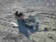 2025 BMW i4 eDrive40 с VIN WBY23HD08SFU63639, выставлен на аукционе Copart как лот 66328785 с пробегом 2 351 миль миль и Списание • Salvage title. История ставок и продаж доступна на DreamBid. Изображение 12.