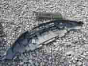 2003 Toyota Highlander с VIN JTEHF21A130128025, выставлен на аукционе Copart как лот 82044905 с пробегом 220 025 миль миль и Списание • Salvage title. История ставок и продаж доступна на DreamBid. Изображение 12.