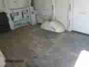 2015 Chevrolet Express Cargo with VIN 1GCWGFCF0F1212991, listed as a Copart auction lot 81043385 with 286,399 mi miles and Clean title. Bid and sale history available at DreamBid. Image 10.