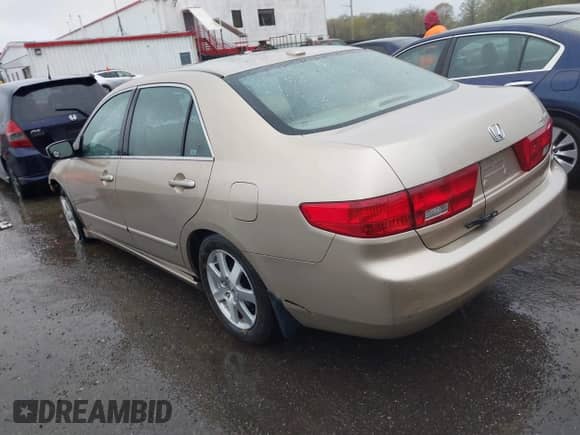 2005 Honda Accord EX-L с VIN 1HGCM66875A057221, выставлен на аукционе IAAI как лот 42007168 с пробегом 144 224 миль миль и . История ставок и продаж доступна на DreamBid. Изображение 3.
