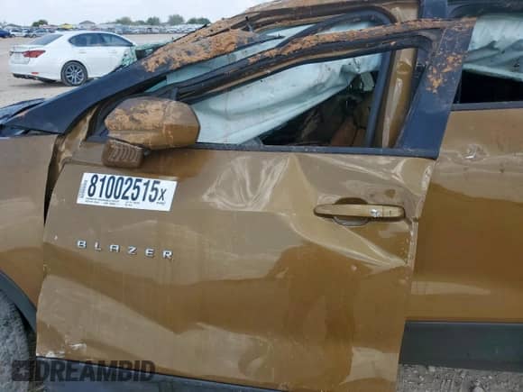 2019 Chevrolet Blazer with VIN 3GNKBCRS9KS597418, listed as a Copart auction lot 81002515 with Not provided miles and Non repairable. Bid and sale history available at DreamBid. Image 7.