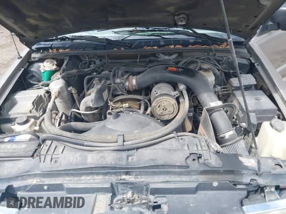 2000 Chevrolet S-10 LS with VIN 1GCCS1950Y8299563, listed as a IAAI auction lot 43252895 with 204,586 mi miles and . Bid and sale history available at DreamBid. Image 10.