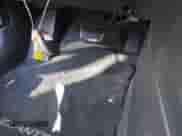 2020 Hyundai Elantra Value Edition with VIN KMHD84LF5LU106907, listed as a IAAI auction lot 43414995 with 43,945 mi miles and . Bid and sale history available at DreamBid. Image 11.