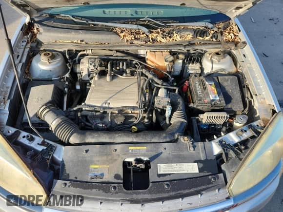2004 Chevrolet Malibu Maxx LS с VIN 1G1ZT648X4F216032, выставлен на аукционе Copart как лот 70169935 с пробегом 150 404 миль миль и Чистый • Clean title. История ставок и продаж доступна на DreamBid. Изображение 11.