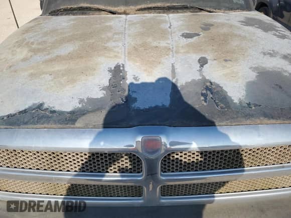 1997 Dodge 1500 with VIN 1B7HC13Z3VJ601107, listed as a Copart auction lot 66695034 with 131,702 mi miles and Clean title. Bid and sale history available at DreamBid. Image 11.