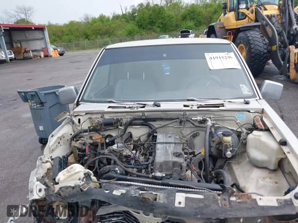 1996 Nissan Frontier XE with VIN 1N6SD16S1TC341046, listed as a IAAI auction lot 41915295 with 159,999 mi miles and . Bid and sale history available at DreamBid. Image 10.