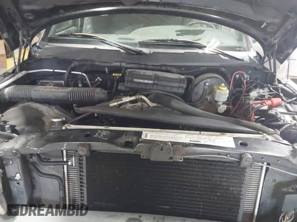 1998 Dodge 1500 with VIN 3B7HF13Y9WG153375, listed as a IAAI auction lot 42809255 with 157,058 mi miles and . Bid and sale history available at DreamBid. Image 10.