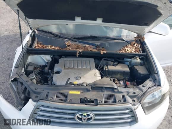 2008 Toyota Highlander with VIN JTEDS41A882067936, listed as a IAAI auction lot 43398086 with 102,139 mi miles and . Bid and sale history available at DreamBid. Image 10.