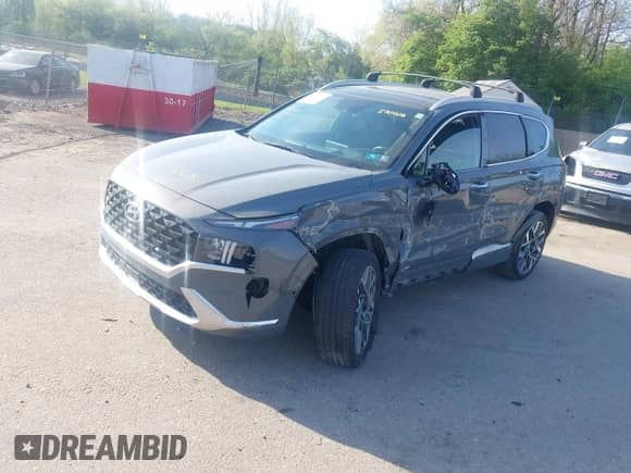 2021 Hyundai Santa Fe Calligraphy with VIN 5NMS5DAL8MH370726, listed as a IAAI auction lot 42099412 with 56,273 mi miles and . Bid and sale history available at DreamBid. Image 19.