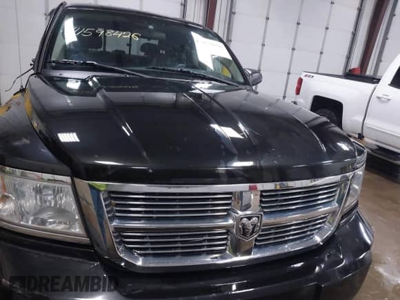 2008 Dodge Dakota Laramie with VIN 1D7HW58N58S613946, listed as a IAAI auction lot 41598426 with 114,272 mi miles and . Bid and sale history available at DreamBid. Image 12.