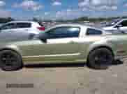 2006 Ford Mustang GT Deluxe с VIN 1ZVHT82H365156215, выставлен на аукционе IAAI как лот 43117357 с пробегом 227 291 миль миль и . История ставок и продаж доступна на DreamBid. Изображение 14.