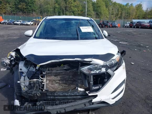 2018 Hyundai Tucson SE with VIN KM8J2CA45JU646285, listed as a IAAI auction lot 43366787 with 98,180 mi miles and . Bid and sale history available at DreamBid. Image 12.