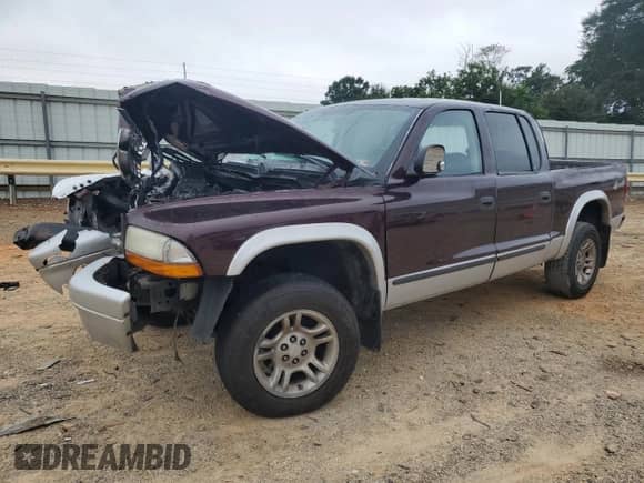 2004 Dodge Dakota SLT with VIN 1D7HG48N94S688828, listed as a Copart auction lot 69864515 with 246,909 mi miles and Salvage title. Bid and sale history available at DreamBid. Image 1.