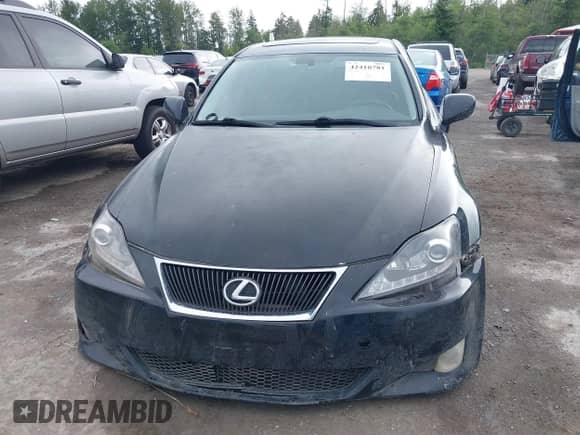 2008 Lexus IS 350 with VIN JTHBE262085017540, listed as a IAAI auction lot 42410781 with Not provided miles and . Bid and sale history available at DreamBid. Image 12.
