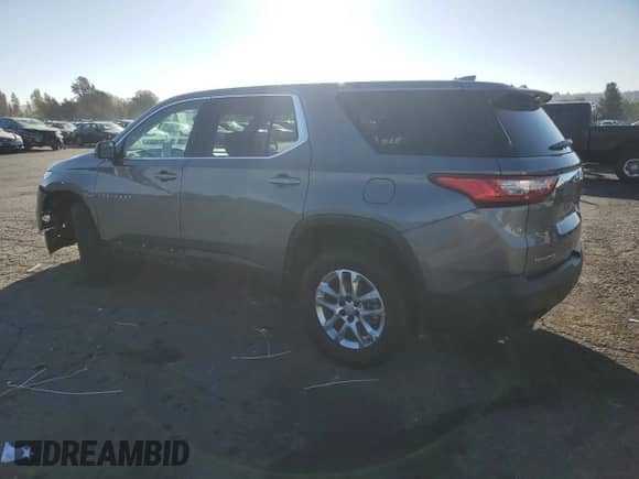 2020 Chevrolet Traverse LS with VIN 1GNERFKWXLJ132821, listed as a Copart auction lot 80931145 with 74,266 mi miles and Salvage title. Bid and sale history available at DreamBid. Image 2.