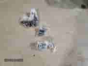 2016 Nissan Altima SR z VIN 1N4AL3AP7GC168984, wystawiony jako Copart lot #87303015 z przebiegiem 205 187 mil mil oraz Czysty tytuł • Clean title. Historia ofert i sprzedaży dostępna na DreamBid. Obrazek 12.