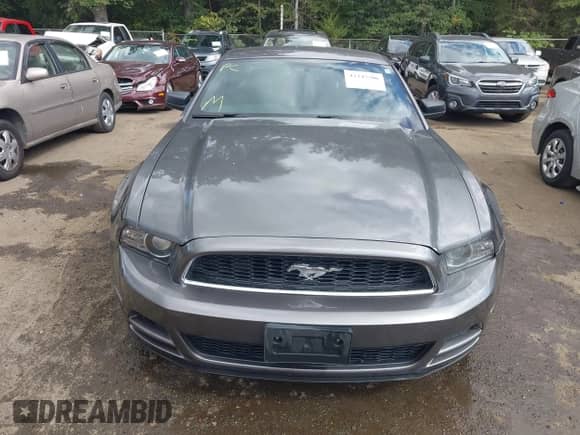 2014 Ford Mustang Premium с VIN 1ZVBP8AM7E5251643, выставлен на аукционе IAAI как лот 43345706 с пробегом 143 122 миль миль и . История ставок и продаж доступна на DreamBid. Изображение 12.
