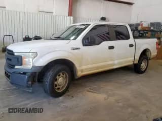 2019 Ford F-150 XL with VIN 1FTEW1CB5KKE66599, listed as a Copart auction lot 64090055 with 171,427 mi miles and Salvage title. Bid and sale history available at DreamBid. Image 1.