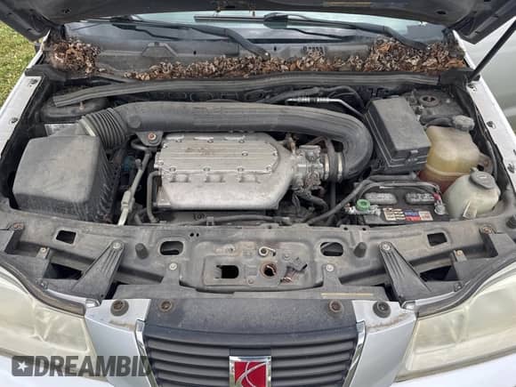 2006 Saturn VUE with VIN 5GZCZ63456S892715, listed as a Copart auction lot 66686485 with 161,805 mi miles and Clean title. Bid and sale history available at DreamBid. Image 7.