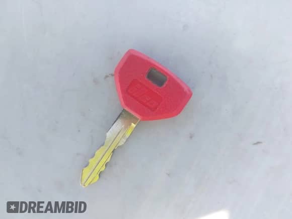 2000 Dodge Dakota with VIN 1B7GL22X1YS549749, listed as a IAAI auction lot 43345753 with 243,223 mi miles and . Bid and sale history available at DreamBid. Image 11.