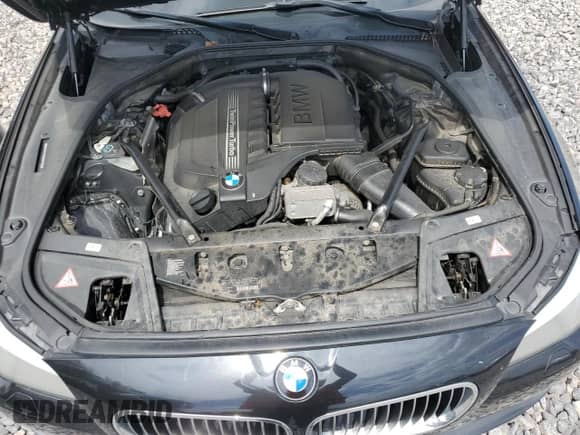 2013 BMW 5 Series 535i xDrive with VIN WBAFU7C5XDDU67159, listed as a Copart auction lot 68189065 with 161,702 mi miles and Salvage title. Bid and sale history available at DreamBid. Image 11.