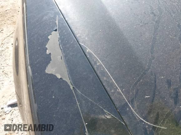 2006 Acura TL z VIN 19UUA66296A039068, wystawiony jako IAAI lot #43447730 z przebiegiem 236 011 mil mil oraz . Historia ofert i sprzedaży dostępna na DreamBid. Obrazek 6.