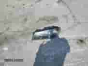 2003 Chevrolet Impala LS с VIN 2G1WH52K739212038, выставлен на аукционе Copart как лот 71622245 с пробегом Не указан миль и Списание • Salvage title. История ставок и продаж доступна на DreamBid. Изображение 12.