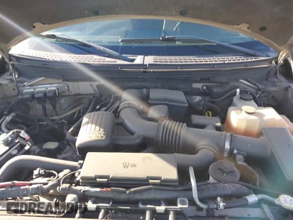 2010 Ford F-150 XL with VIN 1FTFW1EV1AKE36364, listed as a IAAI auction lot 43367197 with 302,801 mi miles and . Bid and sale history available at DreamBid. Image 10.