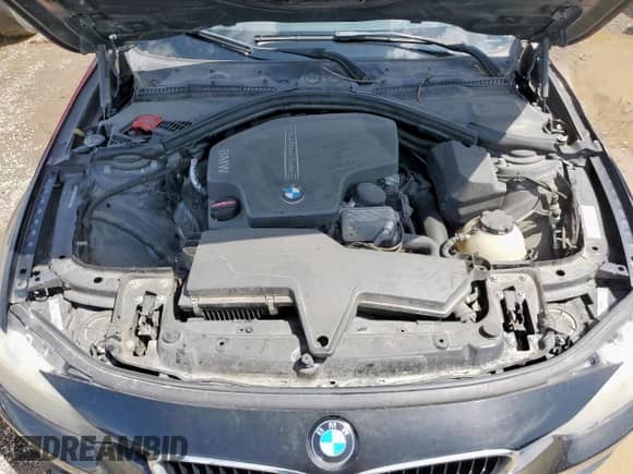 2014 BMW 3 Series 320i with VIN WBA3B1C59EK134700, listed as a Copart auction lot 60987785 with 149,684 mi miles and Salvage title. Bid and sale history available at DreamBid. Image 11.