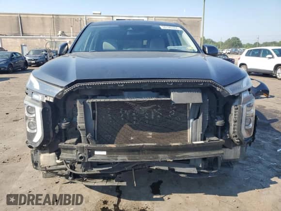 2020 Hyundai Palisade SE с VIN KM8R14HE3LU063730, выставлен на аукционе Copart как лот 59126384 с пробегом 102 511 миль миль и Списание • Salvage title. История ставок и продаж доступна на DreamBid. Изображение 5.