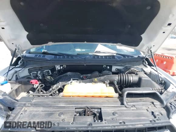 2018 Ford F-150 XL z VIN 1FTEX1EB4JFA77373, wystawiony jako IAAI lot #41813197 z przebiegiem 235 251 mil mil oraz . Historia ofert i sprzedaży dostępna na DreamBid. Obrazek 10.