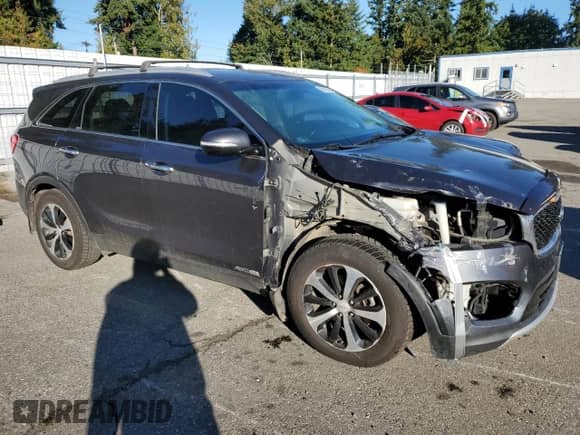 2017 Kia Sorento EX с VIN 5XYPHDA59HG204973, выставлен на аукционе Copart как лот 86410245 с пробегом 105 842 миль миль и Чистый • Clean title. История ставок и продаж доступна на DreamBid. Изображение 4.