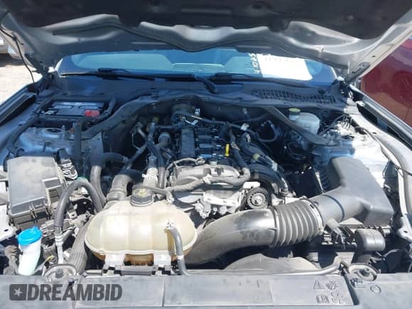 2021 Ford Mustang EcoBoost с VIN 1FATP8UH4M5124553, выставлен на аукционе IAAI как лот 41995612 с пробегом 93 291 миль миль и . История ставок и продаж доступна на DreamBid. Изображение 10.