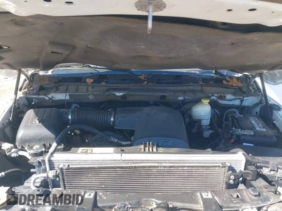 2015 Ram 1500 Big Horn z VIN 1C6RR6LG1FS661002, wystawiony jako IAAI lot #43402772 z przebiegiem 213 718 mil mil oraz . Historia ofert i sprzedaży dostępna na DreamBid. Obrazek 10.