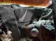 2010 Chevrolet Silverado 1500 Work Truck с VIN 1GCPKPE02AZ201387, выставлен на аукционе Copart как лот 70572665 с пробегом Не указан миль и На запчасти • Non repairable. История ставок и продаж доступна на DreamBid. Изображение 9.