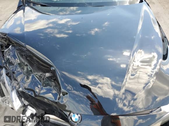 2016 BMW 3 Series 320i with VIN WBA8E1G59GNT34355, listed as a Copart auction lot 60033394 with Not provided miles and Salvage title. Bid and sale history available at DreamBid. Image 11.