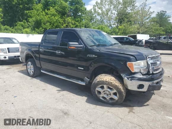 2014 Ford F-150 XL z VIN 1FTFW1ET6EKD44767, wystawiony jako Copart lot #84024615 z przebiegiem 270 187 mil mil oraz Szkoda całkowita • Salvage title. Historia ofert i sprzedaży dostępna na DreamBid. Obrazek 4.