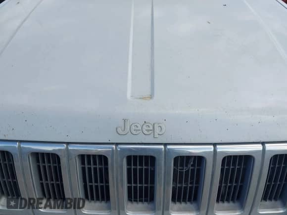 1996 Jeep Grand Cherokee Laredo z VIN 1J4GZ58S9TC245352, wystawiony jako IAAI lot #42860561 z przebiegiem Nie podano mil oraz . Historia ofert i sprzedaży dostępna na DreamBid. Obrazek 10.