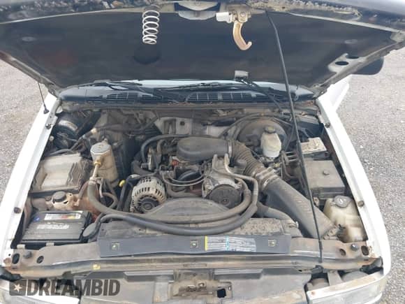 2003 Chevrolet S-10 LS с VIN 1GCCS19X138138732, выставлен на аукционе IAAI как лот 42520528 с пробегом 192 875 миль миль и . История ставок и продаж доступна на DreamBid. Изображение 10.