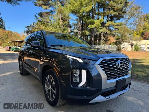 2020 Hyundai Palisade SEL с VIN KM8R2DHE0LU151986, выставлен на аукционе Copart как лот 85011935 с пробегом 97 719 миль миль и Чистый • Clean title. История ставок и продаж доступна на DreamBid. Изображение 1.