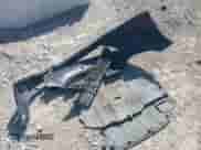 2016 Hyundai Elantra SE с VIN 5NPDH4AE4GH701052, выставлен на аукционе IAAI как лот 43350466 с пробегом 117 240 миль миль и . История ставок и продаж доступна на DreamBid. Изображение 20.