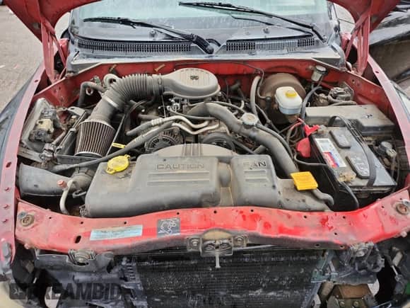 2001 Dodge Dakota Sport with VIN 1B7GL2AX31S176415, listed as a Copart auction lot 80581695 with 205,916 mi miles and Salvage title. Bid and sale history available at DreamBid. Image 11.
