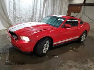 2010 Ford Mustang с VIN 1ZVHP8CH1A5127212, выставлен на аукционе Copart как лот 71642394 с пробегом 158 068 миль миль и Списание • Salvage title. История ставок и продаж доступна на DreamBid. Изображение 1.