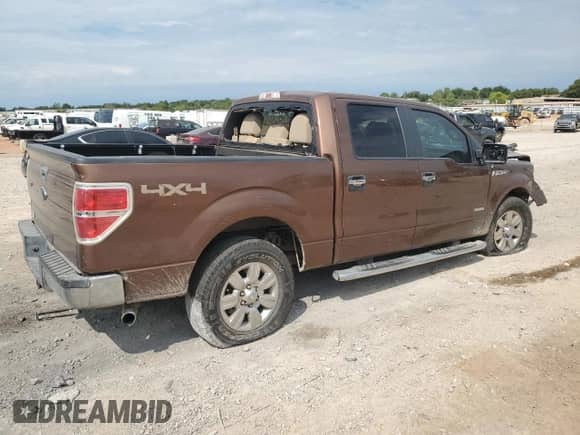 2012 Ford F-150 XL with VIN 1FTFW1ET3CFA42049, listed as a Copart auction lot 81320685 with Not provided miles and Non repairable. Bid and sale history available at DreamBid. Image 3.