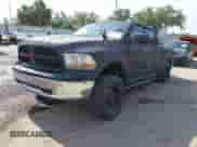 2010 Dodge 1500 SLT with VIN 1D7RV1CP1AS192841, listed as a IAAI auction lot 42122082 with 110,719 mi miles and . Bid and sale history available at DreamBid. Image 2.