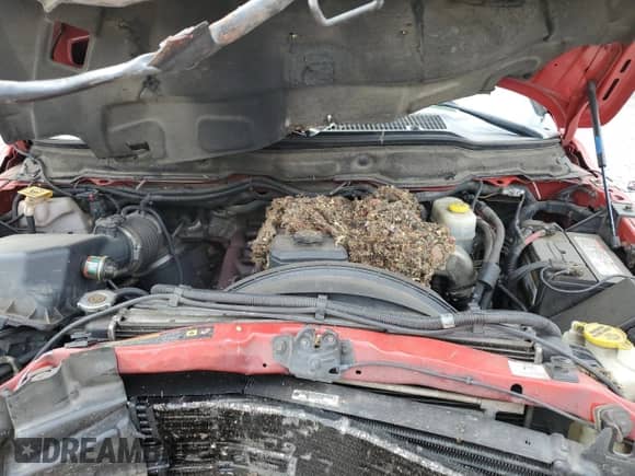 2006 Dodge 2500 Laramie with VIN 3D7KS29C46G229402, listed as a Copart auction lot 61619445 with 243,776 mi miles and Salvage title. Bid and sale history available at DreamBid. Image 11.