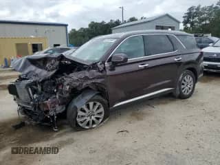 2025 Hyundai Palisade SEL with VIN KM8R24GEXSU826386, listed as a Copart auction lot 84556815 with 28,580 mi miles and Non repairable. Bid and sale history available at DreamBid. Image 1.