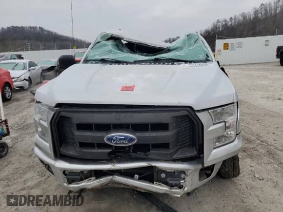 2017 Ford F-150 XL with VIN 1FTMF1EF9HKD68115, listed as a Copart auction lot 42555835 with Not provided miles and Salvage title. Bid and sale history available at DreamBid. Image 5.