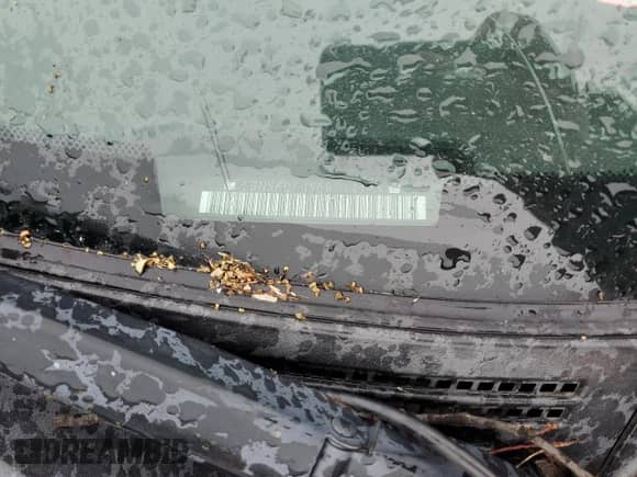 2011 Chevrolet Tahoe LTZ with VIN 1GNSKCE05BR254175, listed as a Copart auction lot 80693645 with 265,816 mi miles and Salvage title. Bid and sale history available at DreamBid. Image 13.